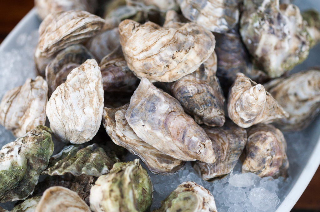 Oysters Unshucked